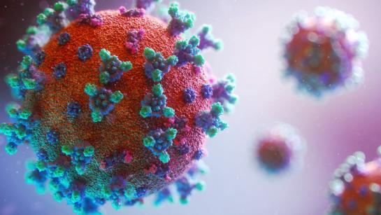Image of COVID-19 virus